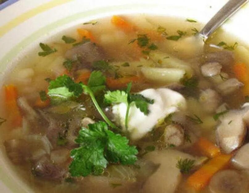 Суп из замороженной курицы. Грибной суп с перловкой. Суп из лесных грибов. Постный грибной суп. Суп грибной с перловкой и картофелем.
