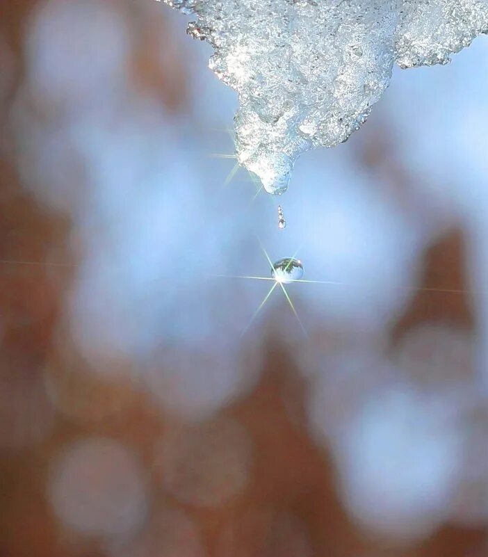 апрельская капель. весна солнце в капле воды. весна капель. красивые сосульки. тающие сосульки.