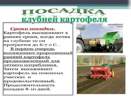 Особенности агротехники