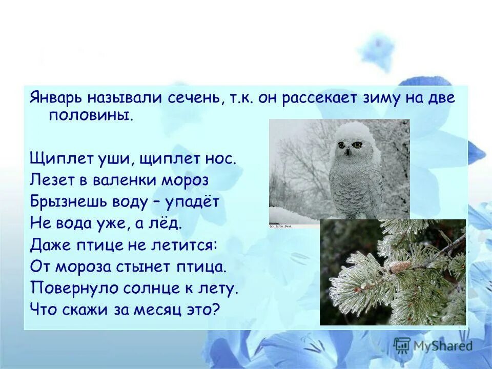 этимология названия месяца январь. январь был назван. названия зимних месяцев январь. как в народе называют фе. зимний месяц февраль.