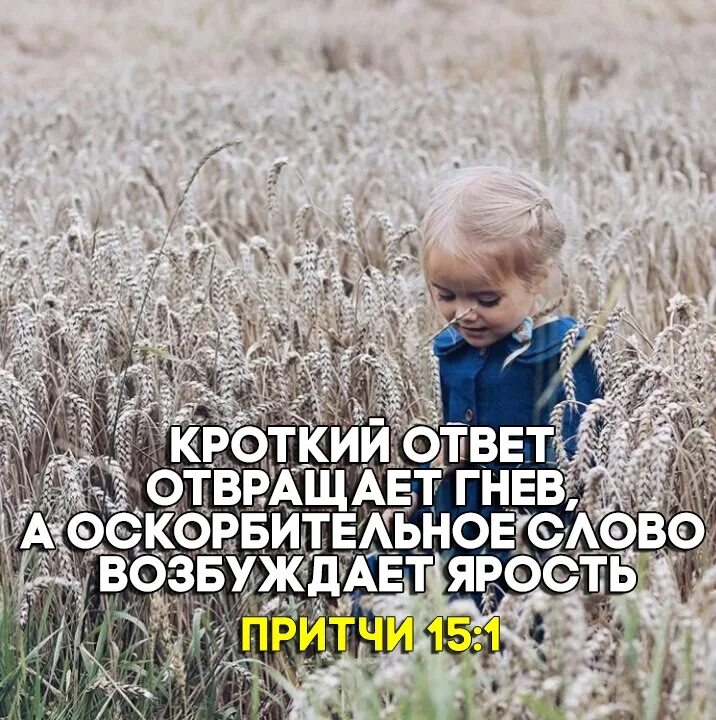 Что означает слово кротость. Кротость. Кроткий и смиренный человек. Кротость характера. Ярость и кротость.