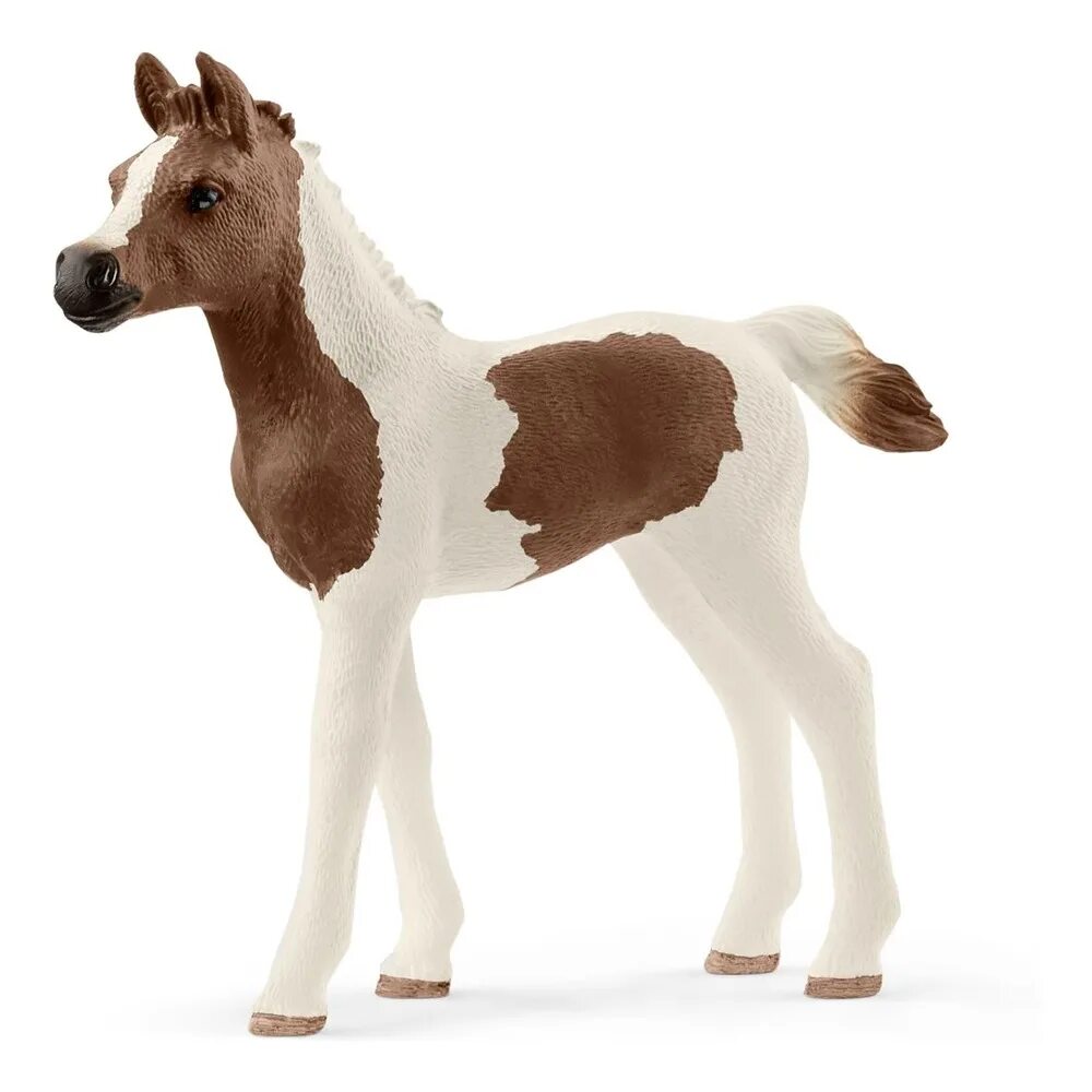 Schleich Пинтабиан. Пинтабиан шляйх. Ганноверский жеребенок Schleich. Пинтабиан лошадь шляйх.