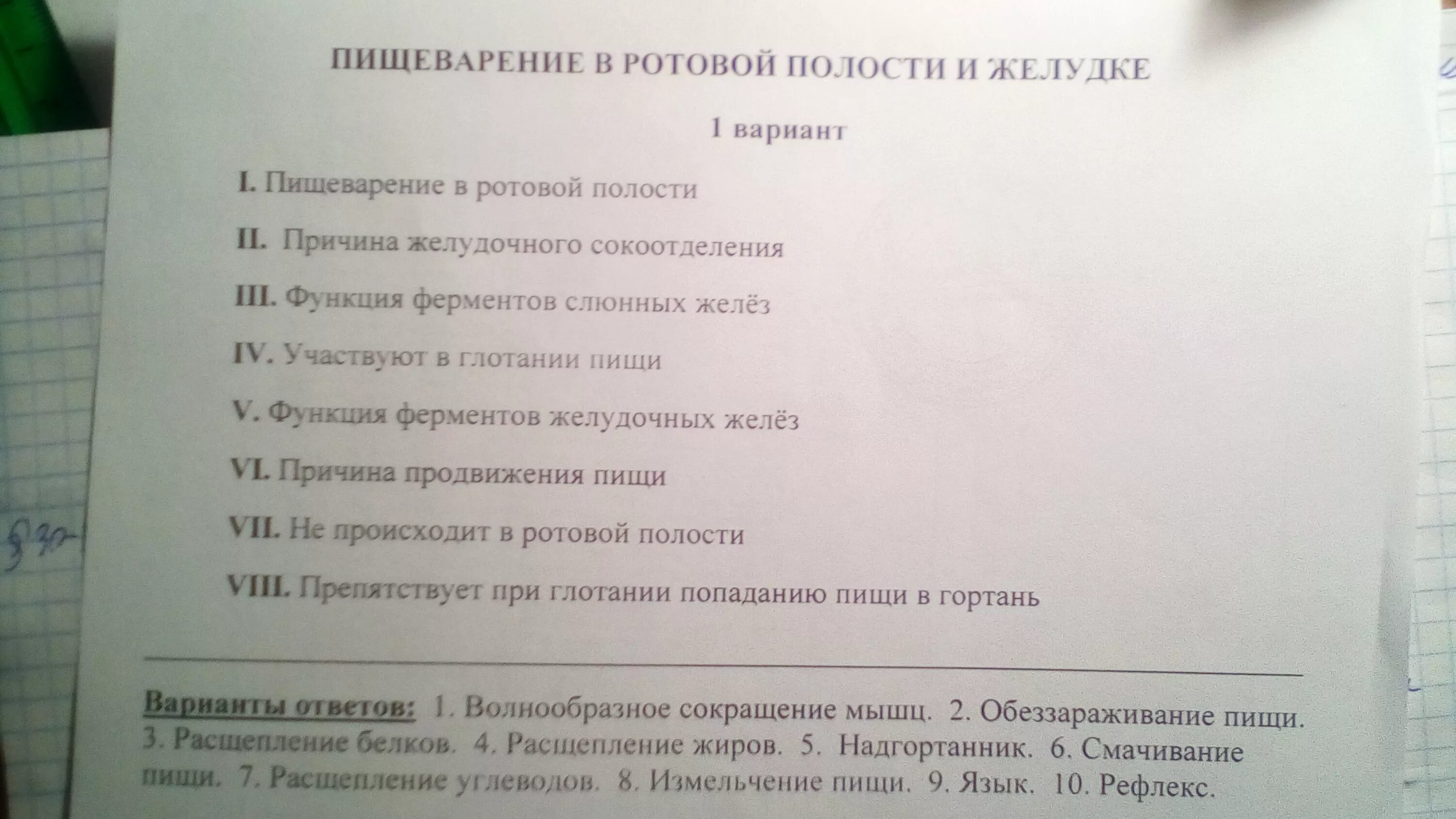 Биология пищеварительная система 8 класс проверочная работа