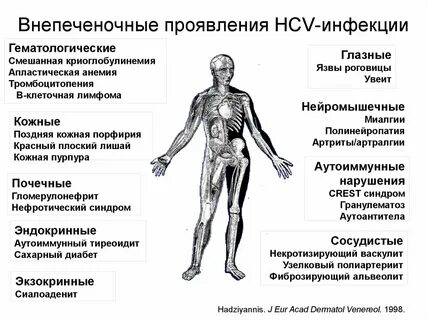 Симптомы гепатита с форум