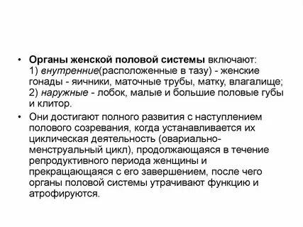 Виды половых органов у женщин