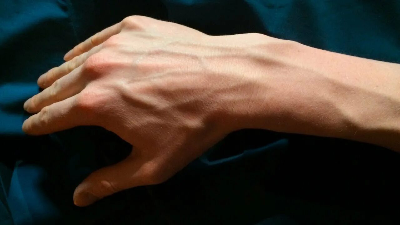 Сухожилия сгибателей кисти анатомия. Мужская кисть руки. Сухожилия сгибателей пальцев анатомия. Сухожилия сгибателей кисти анатомия. Сухожилия сгибателей пальцев кисти.