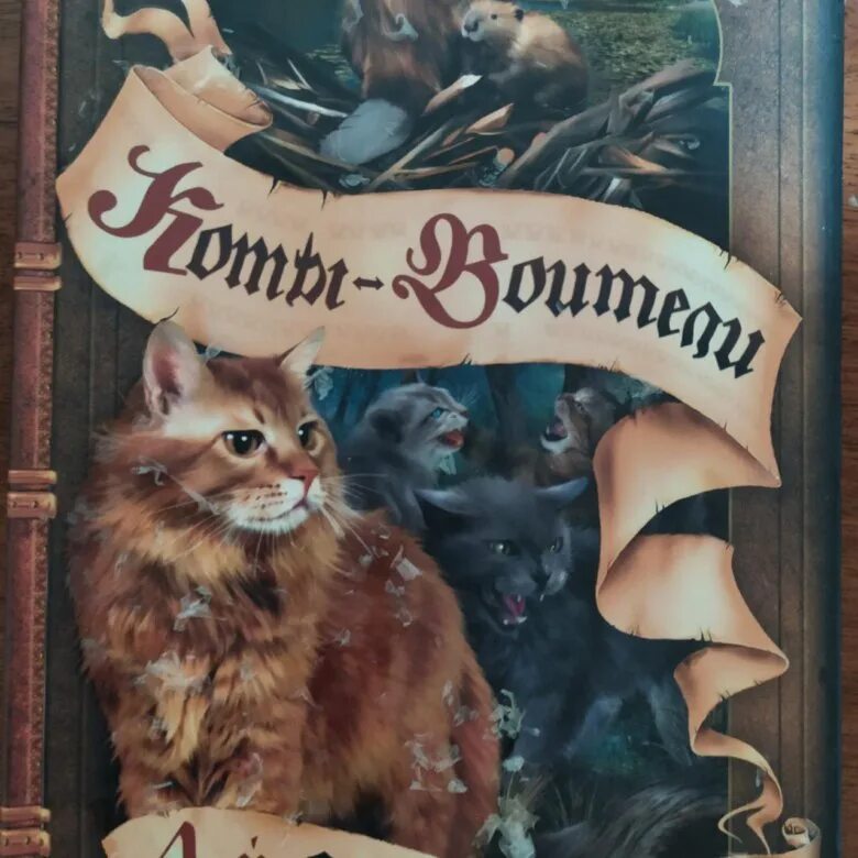 Книга коты 4 книги. Книга коты 4 книги. Коты воители книги. 4 цикл знамение звезд коты воители. Коты воители цикл знамение звезд.