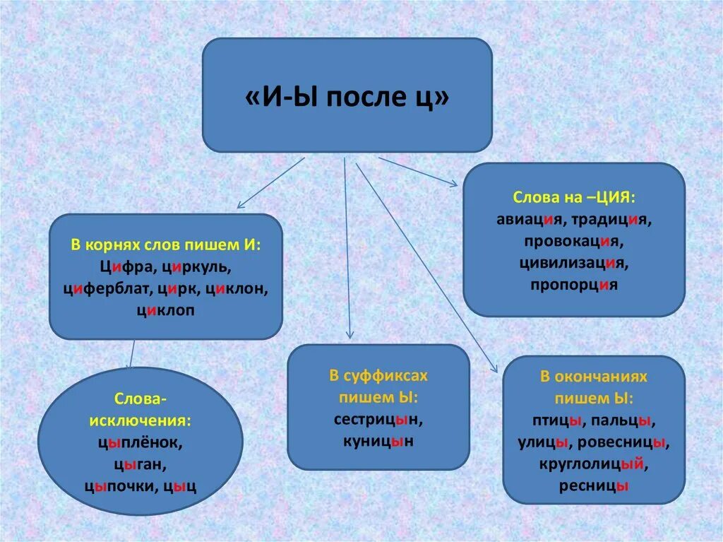 Корень слова цыпочках. Написание слова циркуль. Корень слова циркуль цирк. Циферблат правописание после ц. Корень слова.