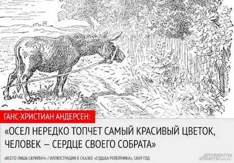 Цитаты ганса христиана