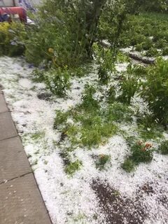 Ливень обрушился