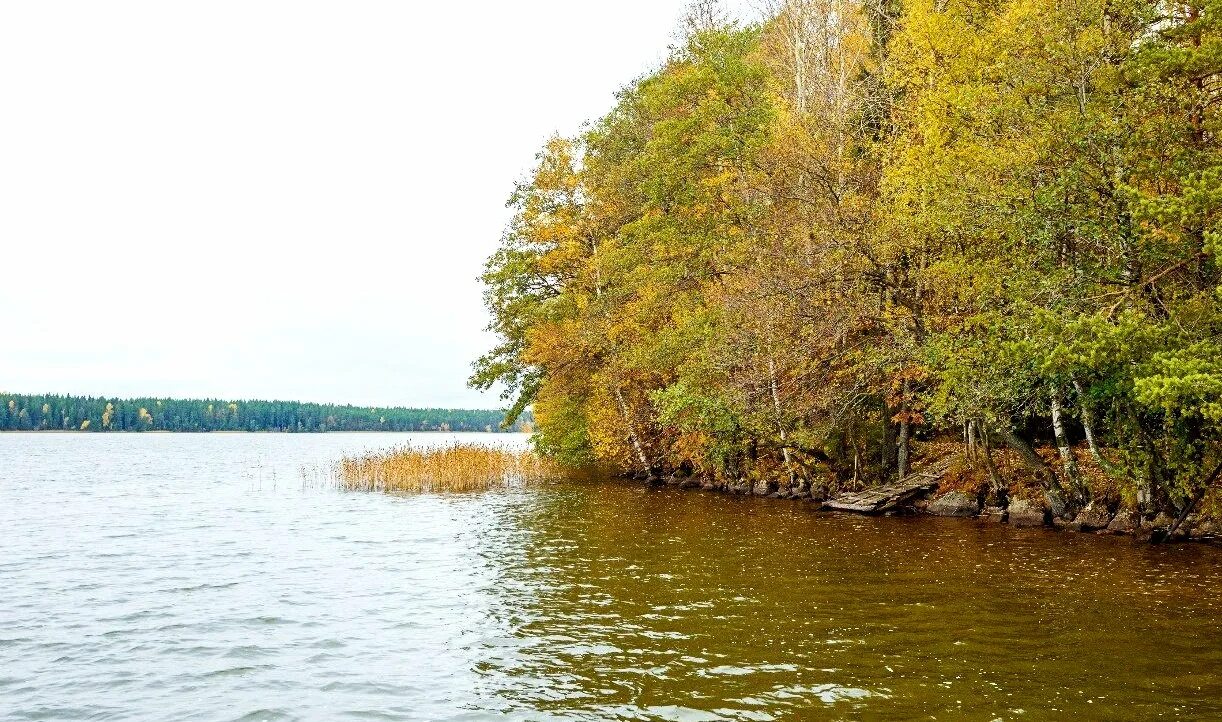 Озеро зеркальное ленинградская область рыбалка. Оз зеркальное ленинградская область рыбалка. Зеркальное озеро спб. Озеро зеркальное ленинградская область рыбалка. Озеро зеркальное в выборге.