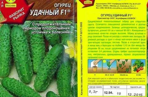 Урожайные сорта огурцов для грунта самоопыляемые