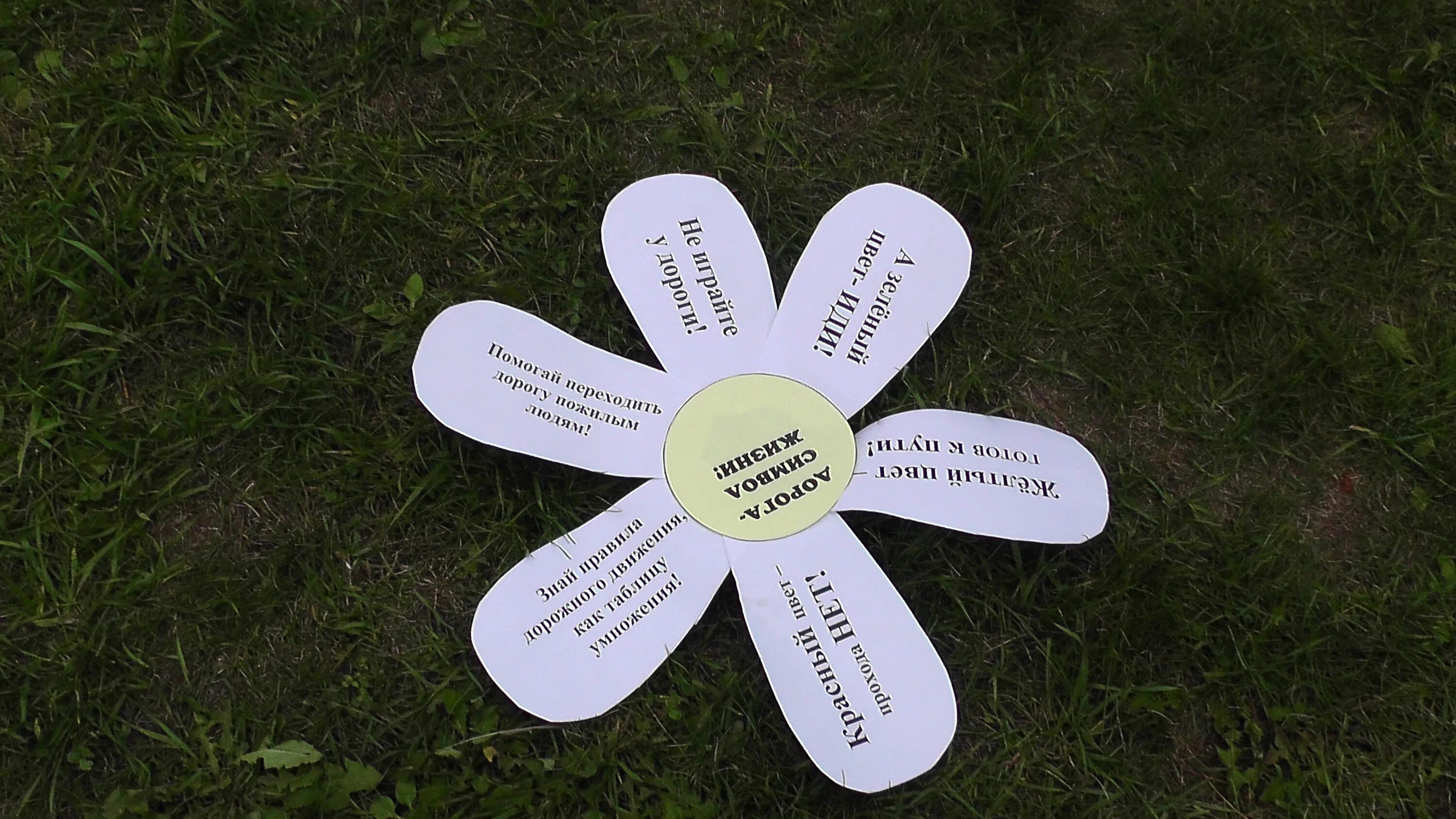 дорога символ жизни. символ дороги жизни. акция дорога символ жизни в детском саду. акция по пдд ромашка. образ дороги.