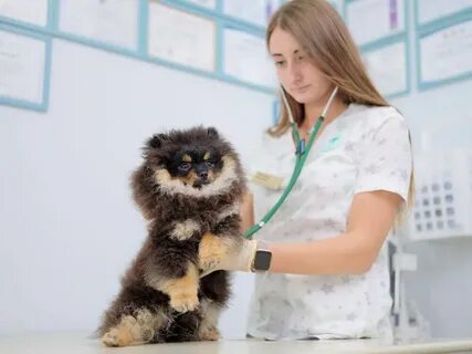 Ветклиника барс