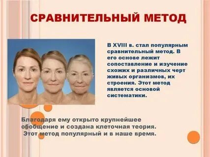 Примеры метода сравнения в биологии