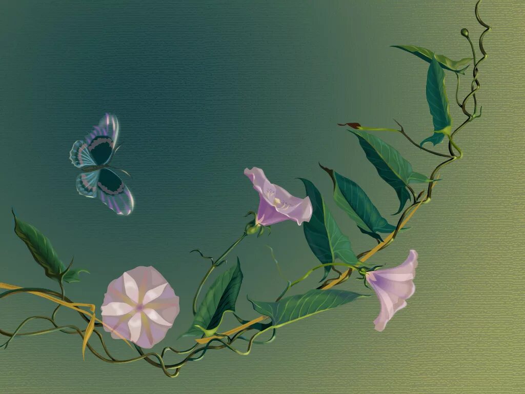 Евгений мохорев фотограф. Евгений мохорев мальчики 2020. Составить звуковую модель слова. Схема звуковых моделей. Пелагея вьюн над водой.