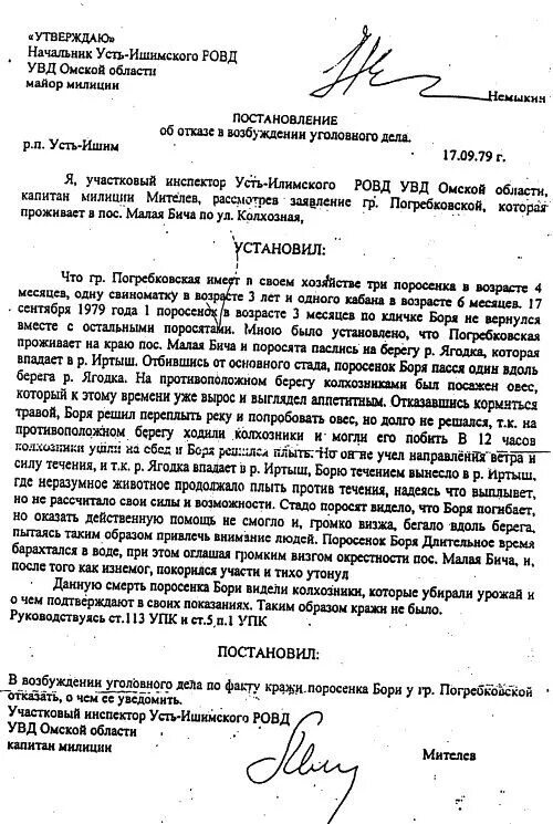 Отказной материал про поросенка. Протокол участкового про поросенка. Поросенок Боря постановление об отказе в возбуждении уголовного. Отказной материал про поросенка Борю. Участковый возбуждение уголовного дела