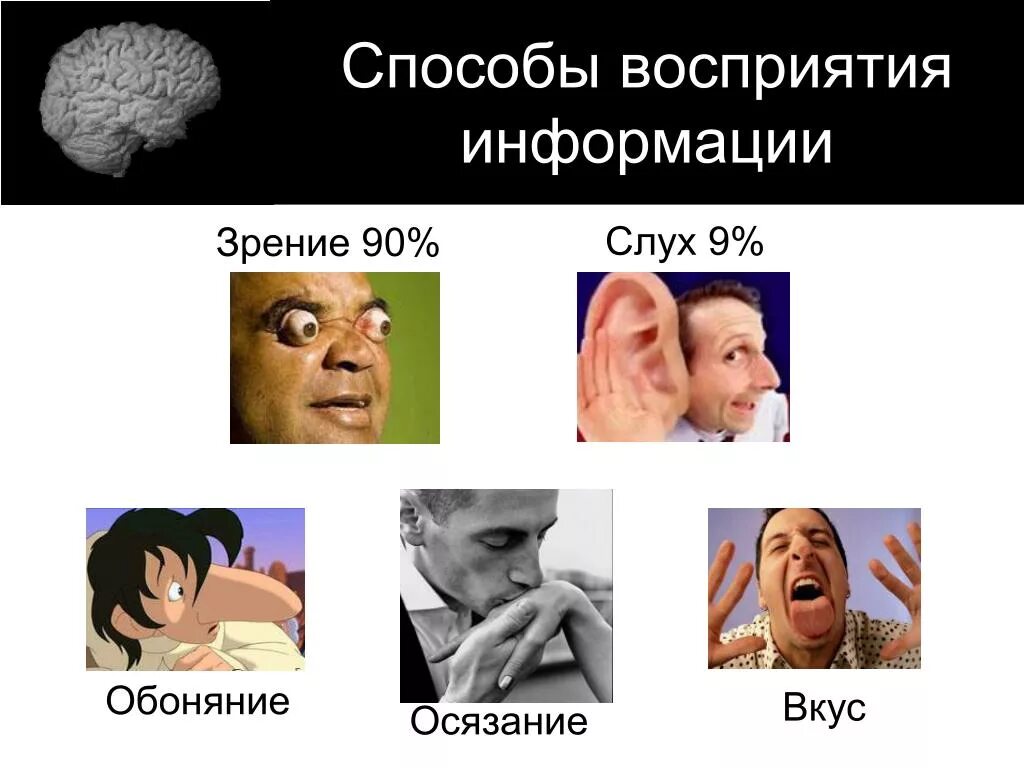 5 примеров восприятия информации. 5 примеров восприятия информации