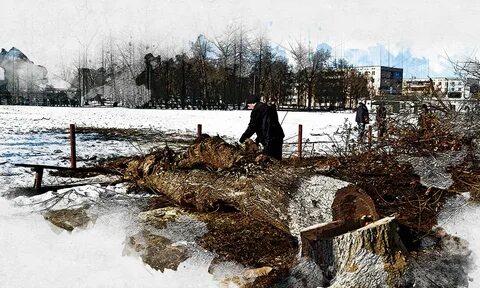 Погода в орле 20 апреля