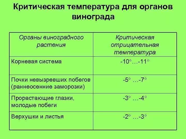 Критическая температура для растений. Температурный режим для винограда. Критическа ятемперату. Температура для роста винограда.