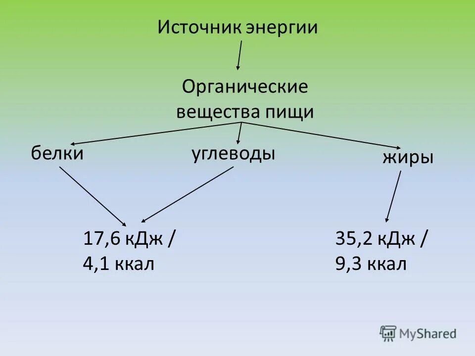 176 кдж. Белки КДЖ. КДЖ И ккал в обмене веществ. Белки жиры углеводы КДЖ. Источники энергии в органиес.