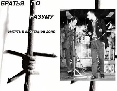 Братья по разуму