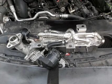 Егр bmw