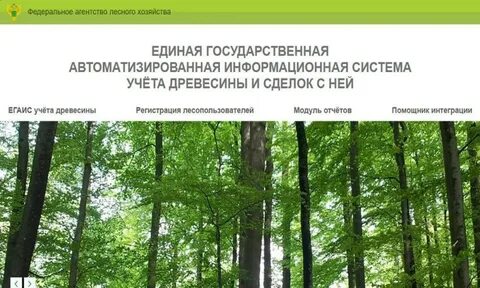 Учет древесины и сделок с ней егаис