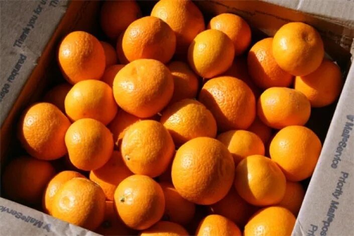 Ящик мандаринов. Коробка мандаринов. Ящик апельсинов. Ящик с мандаринами. 4 ящика мандаринов