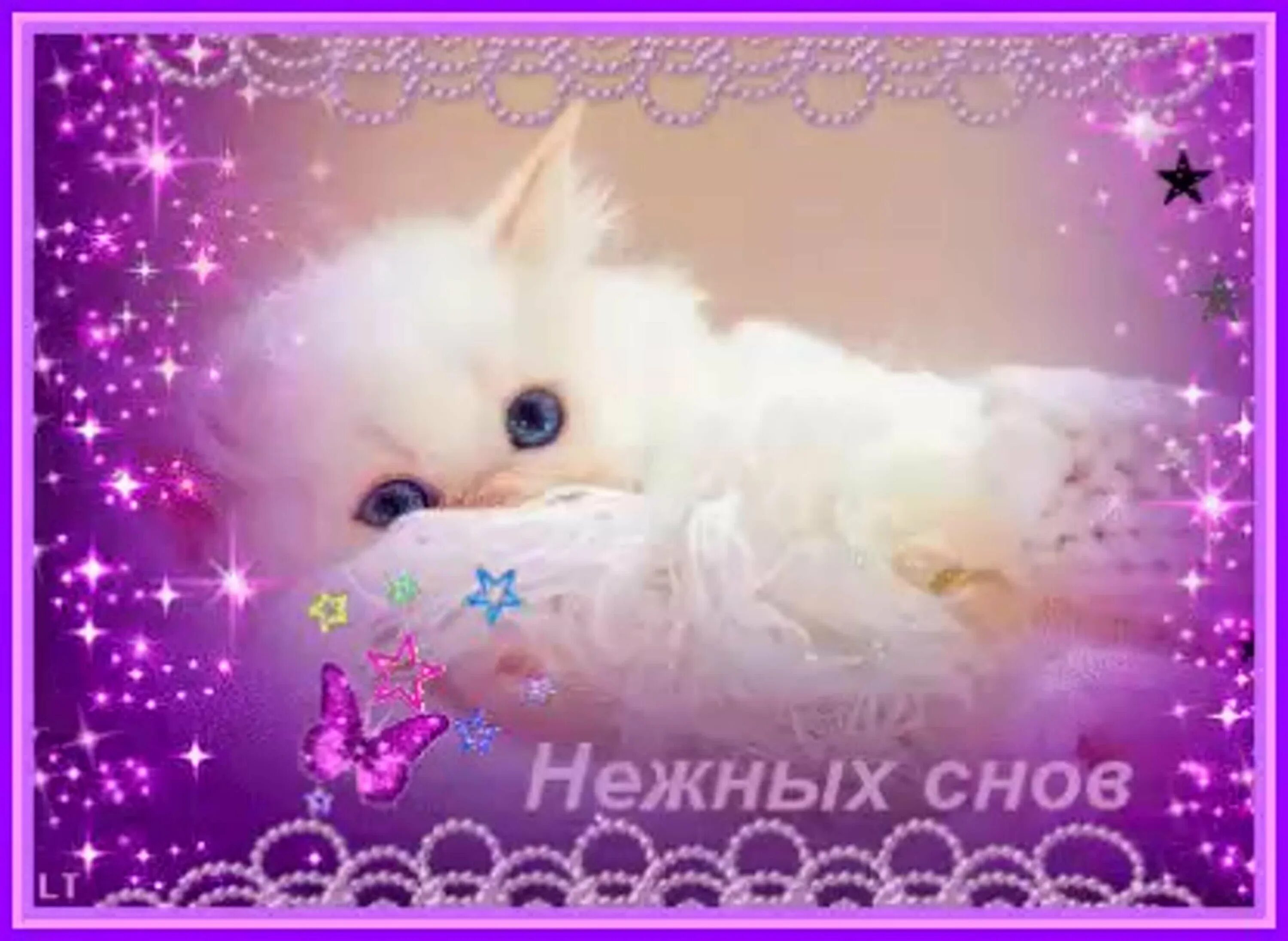 Гифки доброй нежной ночи