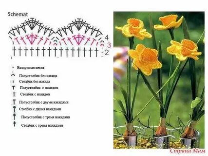 Вязаные тюльпаны крючком схемы с описанием