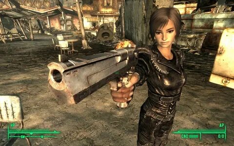 Fallout 3 Paradise Falls.