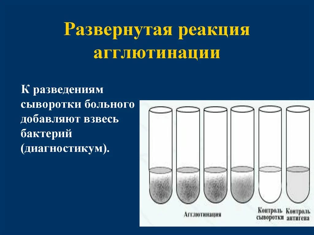 В пробирке произошла реакция агглютинации то. Пластинчатая реакция агглютинации хеддельсона. реакция агглютинации на стекле и в пробирках. развернутая реакция агглютинации. реакция агглютинации на стекле.
