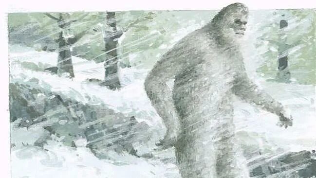 Йети в гималаях. Етти снежный человек документальный фильм. Гималайский йети. Снежные люди читать. Снежный человек происхождение.