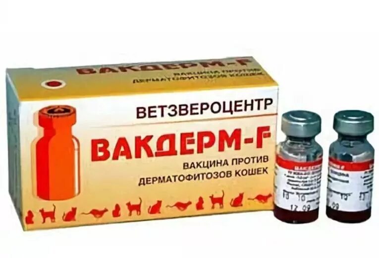 Вакцина для собак гексаканивак. Вакцина вакдерм ф. Вакцина вакдерм ф для кошек. Вакдерм ф для собак. Вакдерм и вакдерм f.