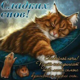 Теплой мягкой ночи