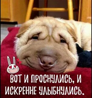 Выглядел грустным