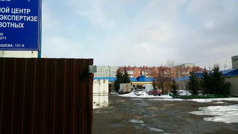 Куйбышева 131 омск. Ветеринарная клиника куйбышев новосибирской. Клиника альтернатива вет самара. Ветклиника саров кирова. Ветклиника друг нижний новгород конотопская.