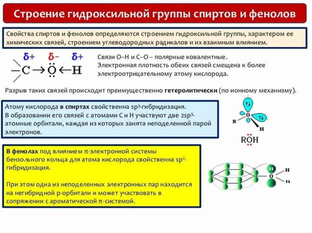 Гидроксильная группа в бензольном кольце