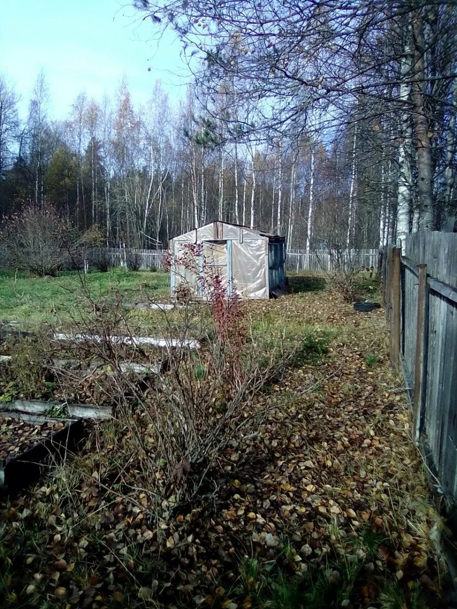Погода в ларионово приозерский. Погода в ларионово. Ларионово владимирская область. Ленинградская обл. Погода в ларионово.
