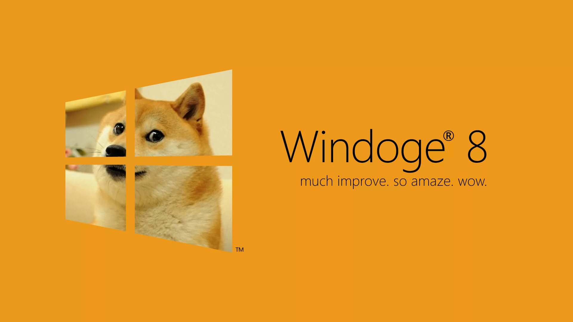 Dog of windows. Доги обои. Обои на рабочий стол доги. Windoge. Доги Мем обои
