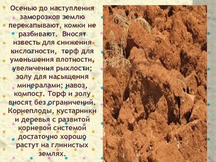 Глинистая почва почему и