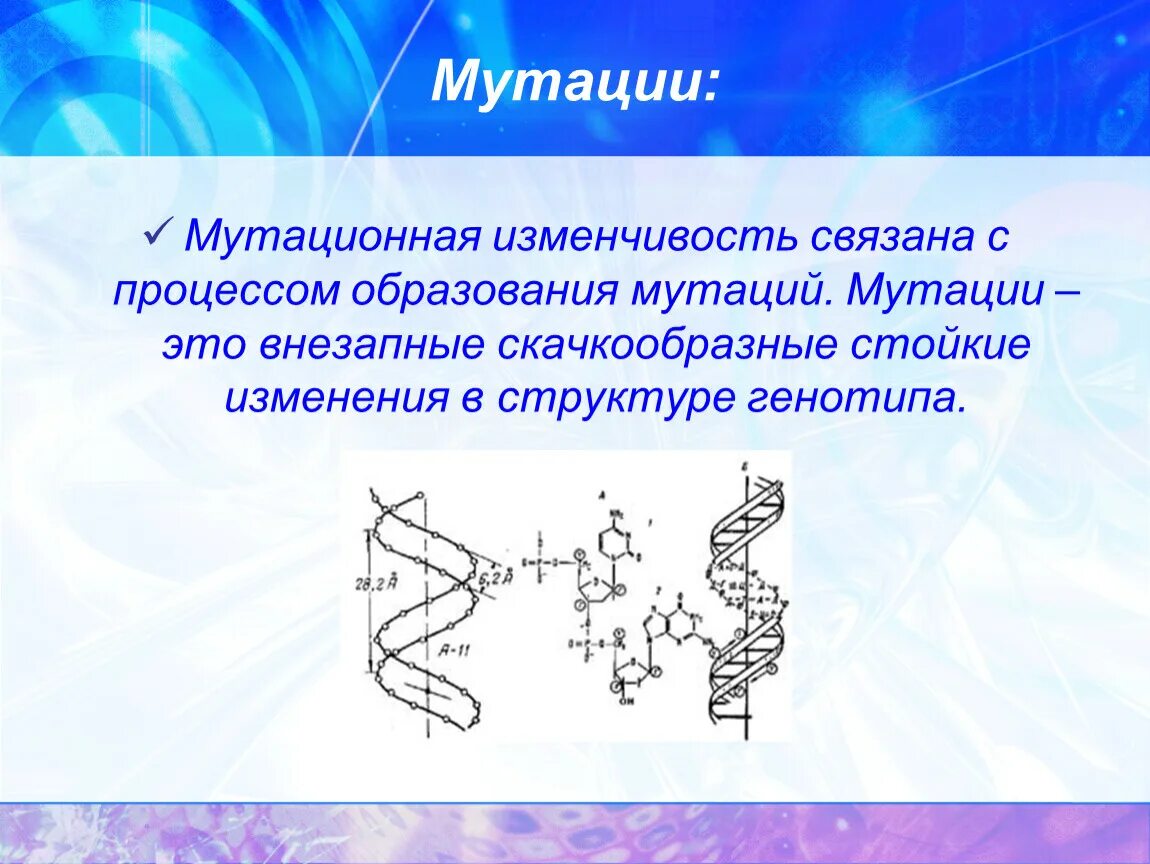 Мутация это стойкое изменение. Изменчивость мутации. Процесс образования мутаций.