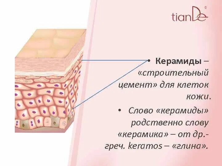 Что такое керамиды