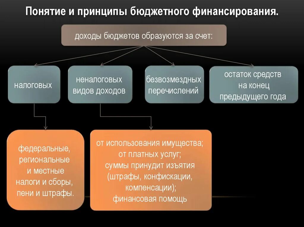 Понятие бюджетного финансирования. Принципы бюджетного финансирования. Понятие финансового обеспечения. Основные принципы бюджетного финансирования. Бюджетное учреждение понятие