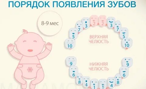 Когда режутся зубы у грудничков