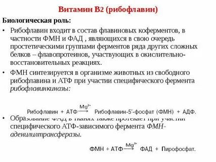 Биологическая роль витамина в2