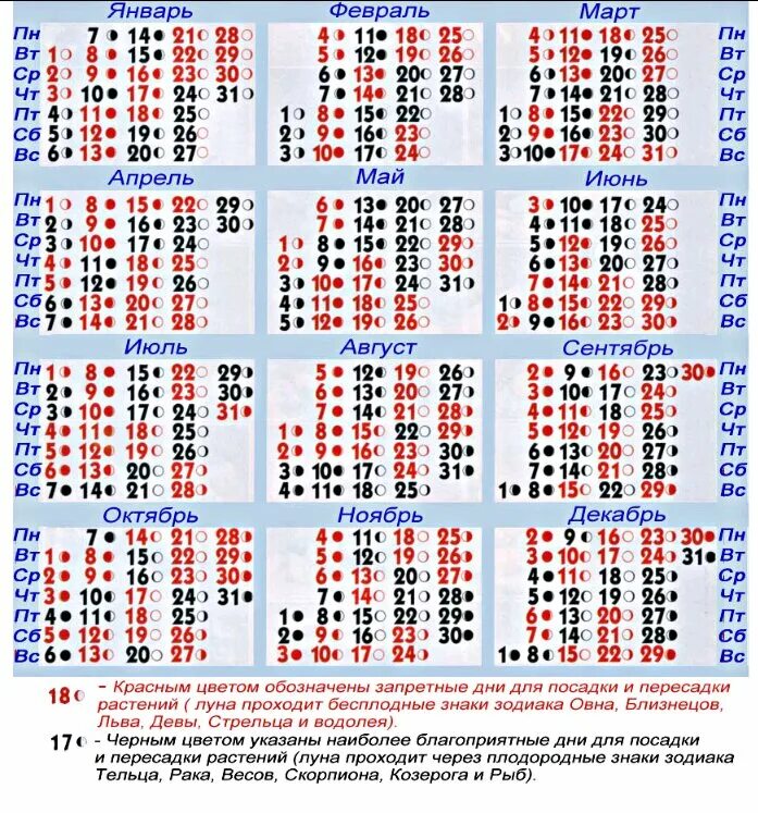 Лунный календарь для пересадки комнатных растений в 2020. Благоприятные дни для посадки комнатных растений. Благоприятные дни для пересадки растений. Лунный календарь для пересадки комнатных цветков.