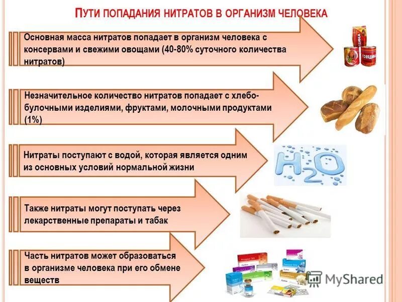 Нитриты вред. Воздействие нитратов и нитритов на организм человека. Пути попадания нитратов в организм человека. Нитриты в организме человека. Как нитраты попадают в организм человека схема.