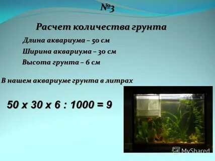 Сколько литров надо на растения